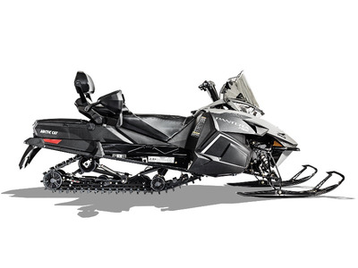 Arctic Cat®